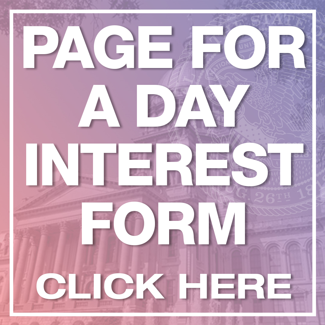 Page for a Day